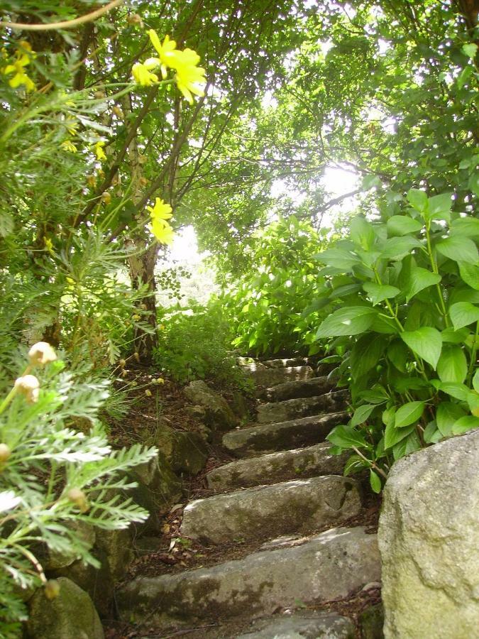 Oportonature Guilhabreu Ngoại thất bức ảnh